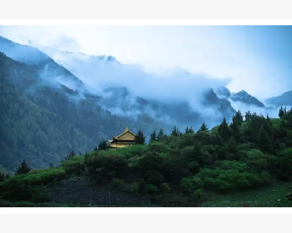 应付会计岗位实操技巧与效率提升路径