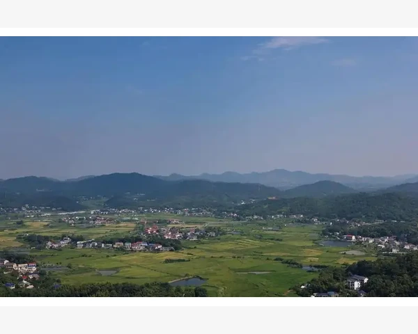 晚眠秘密揭秘：为何睡觉时气血不足老做梦？